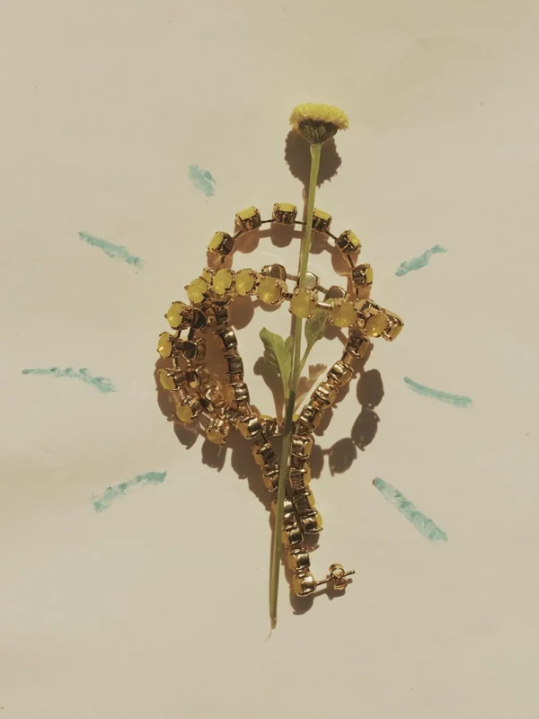 MALAIKARAISS CRYS­TAL LOOP EARRINGS<< Earrings
